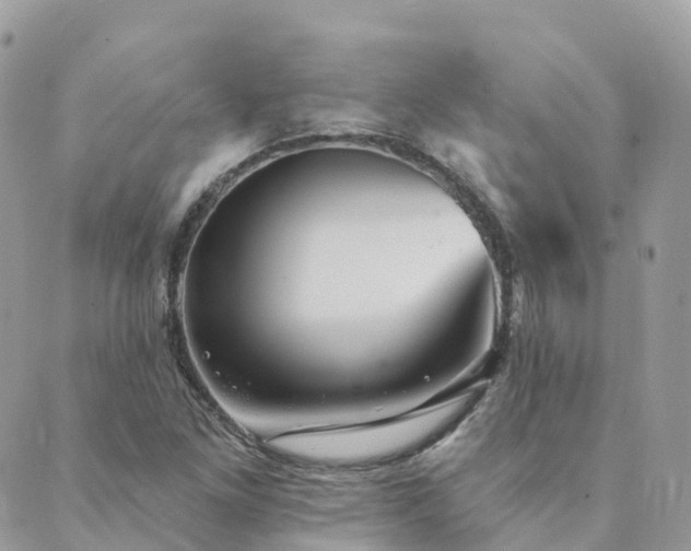 X0000089941261200706291214
