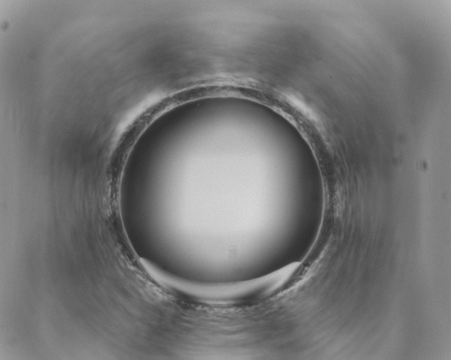 X0000089941310200706291212