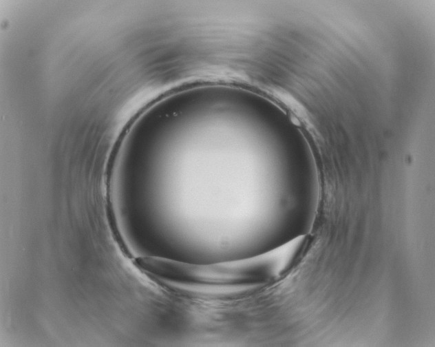 X0000089941335200706291213