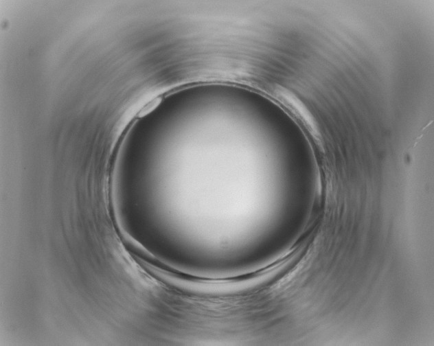 X0000089941340200706291213
