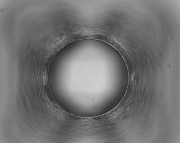 X0000089941348200706291212