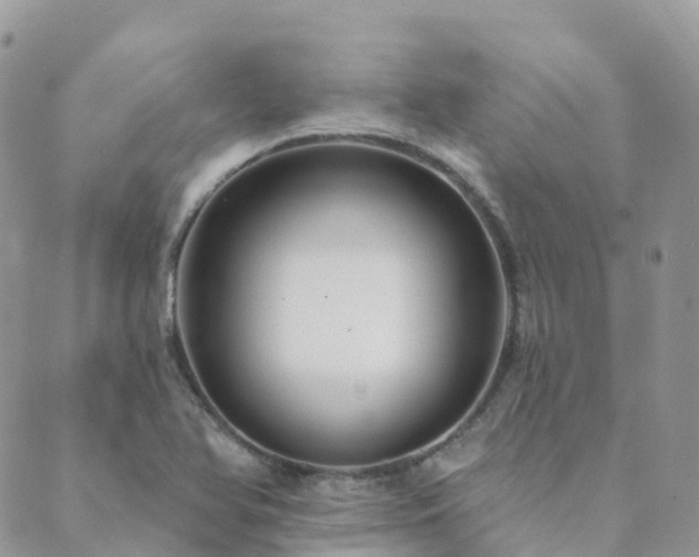 X0000089941366200706291212