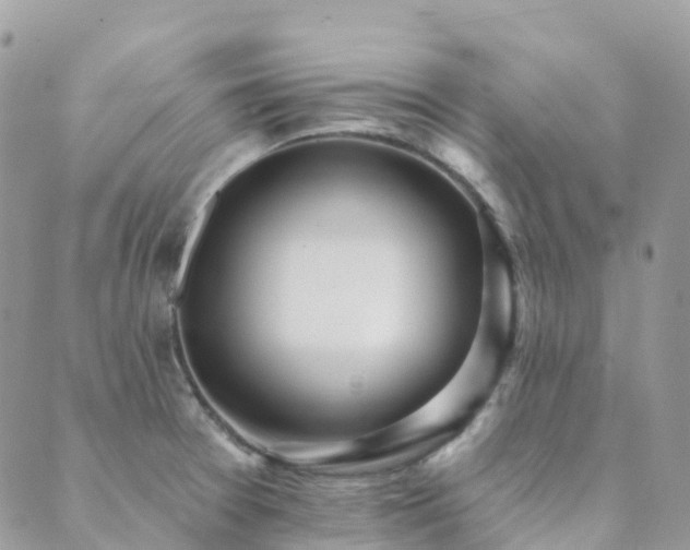 X0000089941377200706291212
