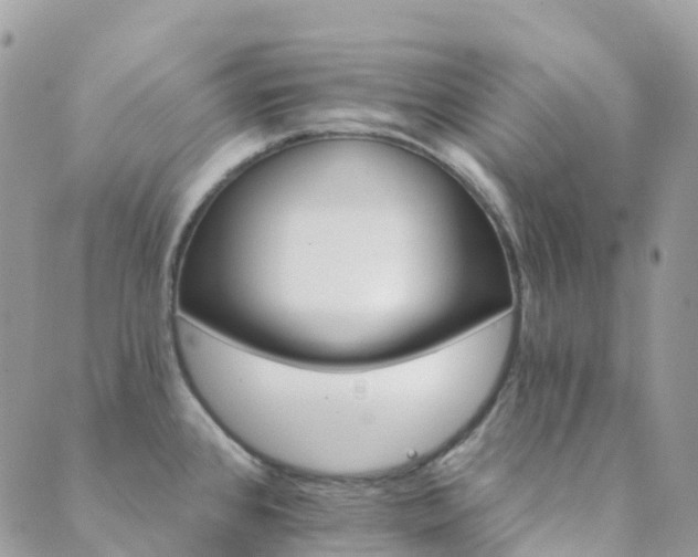 X0000089941384200706291212