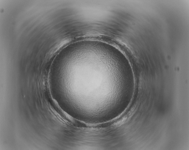 X0000089941401200706291211