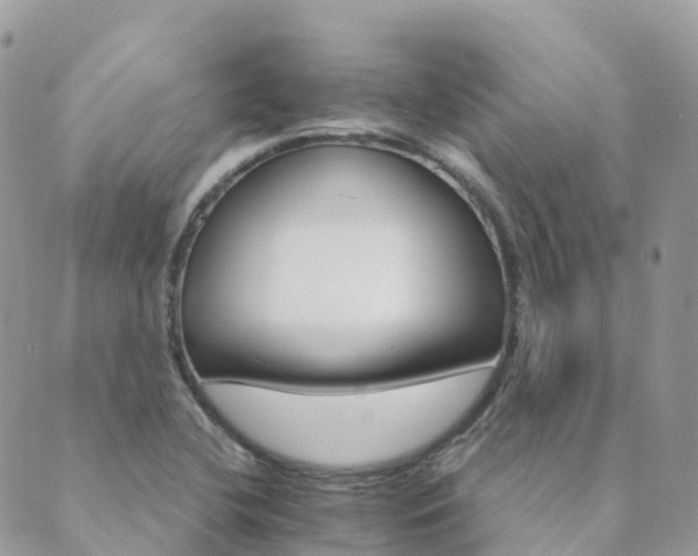 X0000089941412200706291211