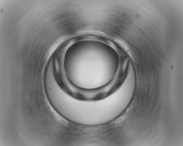 X0000089941430200706291211