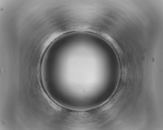 X0000089941432200706291211
