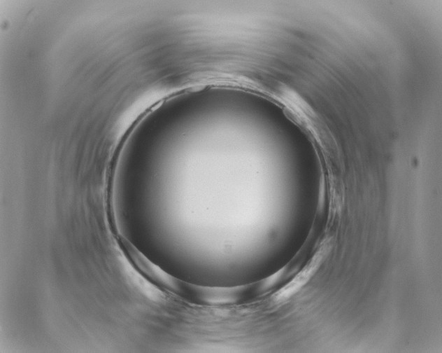 X0000089941438200706291211