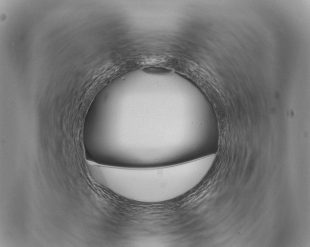 X0000089941441200706291211