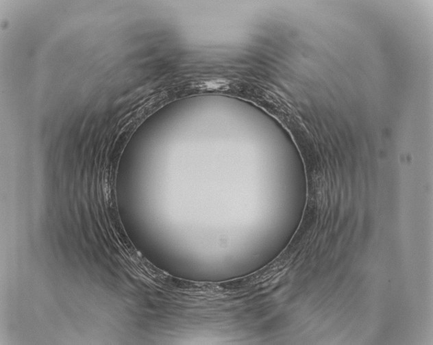 X0000089941442200706291211