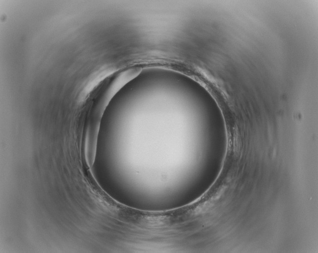X0000089941453200706291210