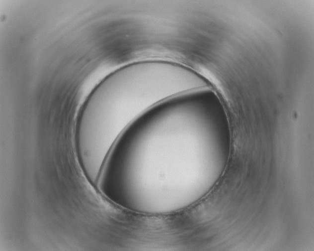 X0000089941472200706291210