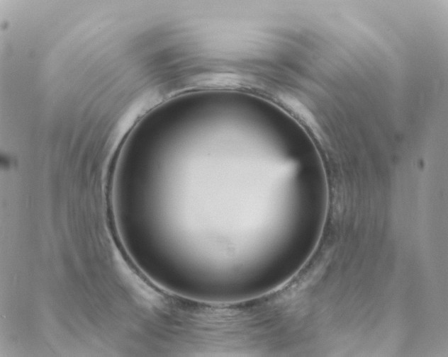 X0000089941475200706291210