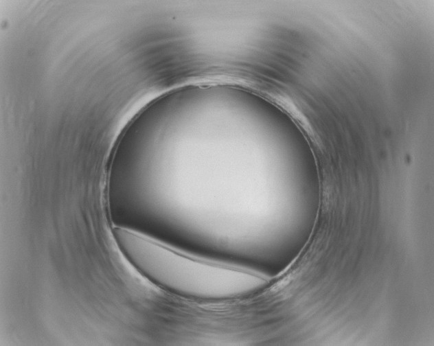 X0000089941484200706291210