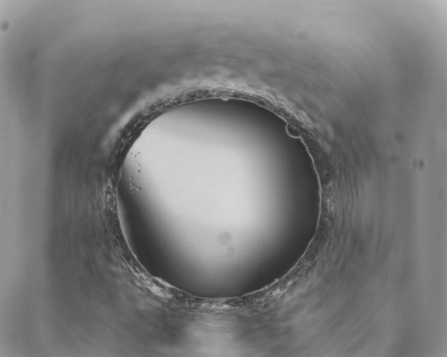 X0000089941495200706291209
