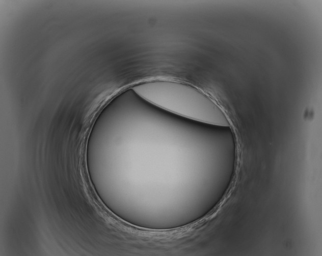 X0000089940001200707061110