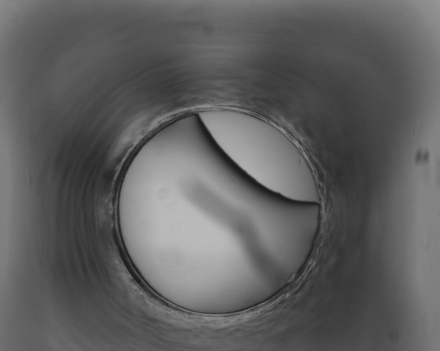 X0000089940002200707061110