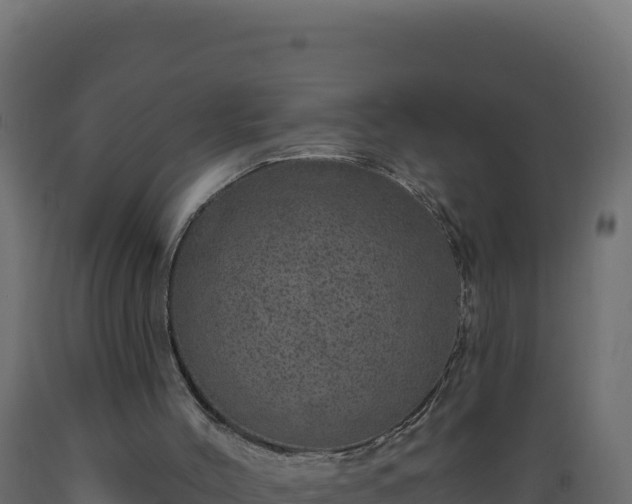 X0000089940004200707061110