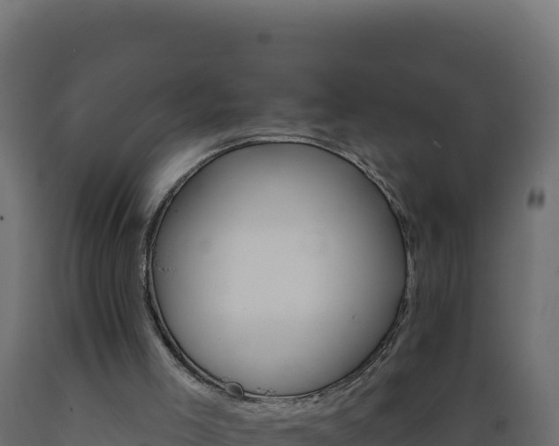 X0000089940005200707061110