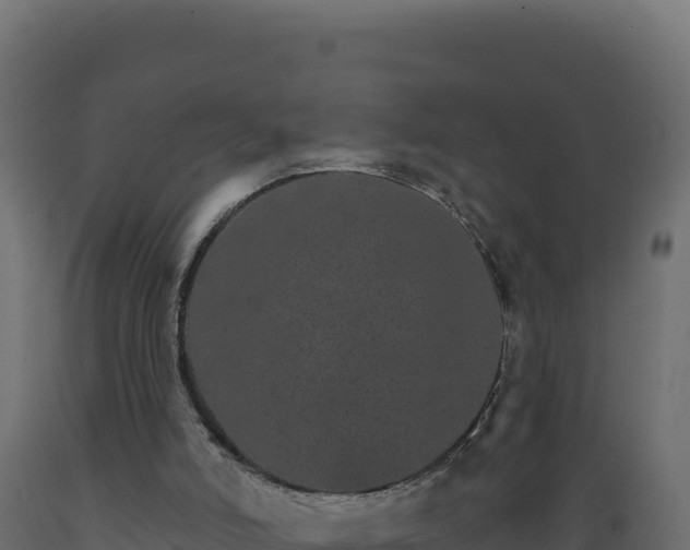 X0000089940006200707061110