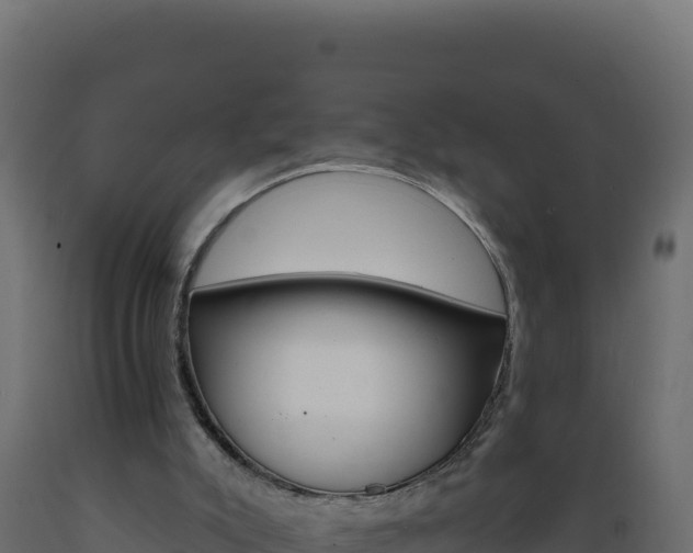 X0000089940007200707061110