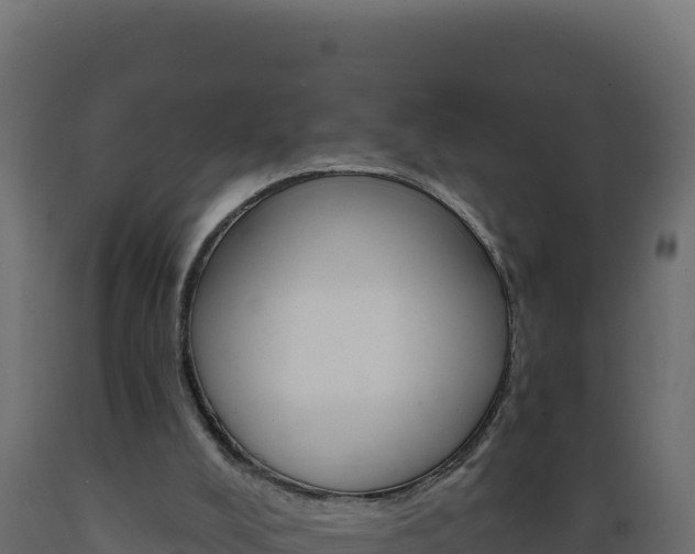 X0000089940008200707061110