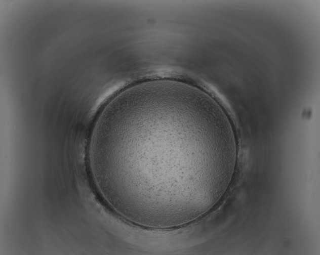 X0000089940010200707061110