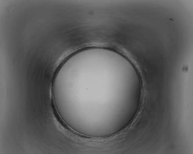 X0000089940011200707061110