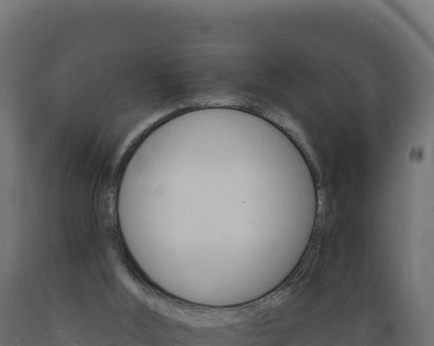 X0000089940012200707061110