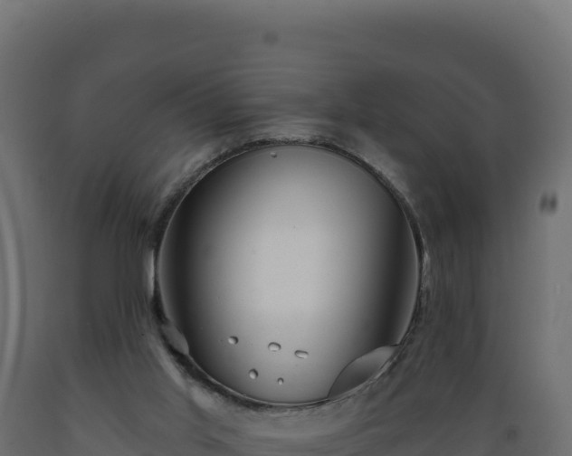 X0000089940013200707061110