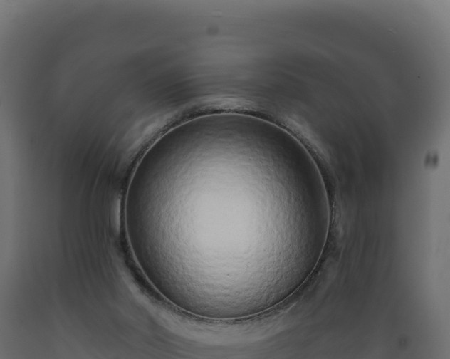 X0000089940014200707061110