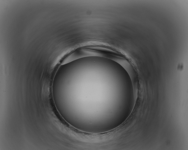 X0000089940015200707061109