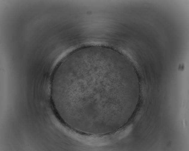 X0000089940016200707061109