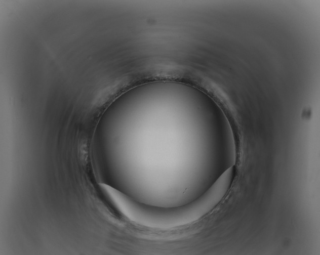 X0000089940017200707061109