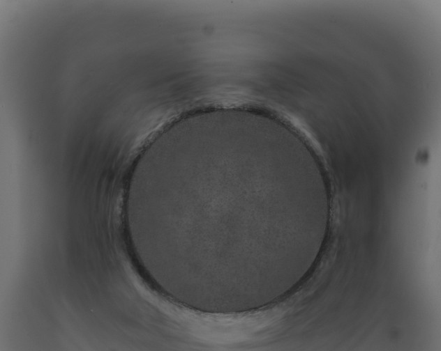 X0000089940018200707061109