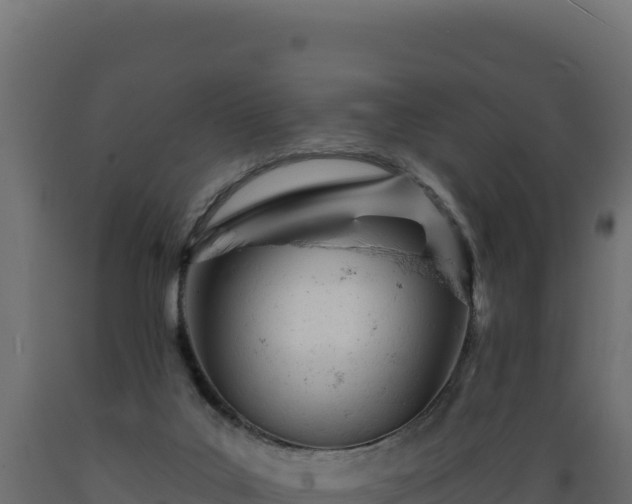 X0000089940019200707061109