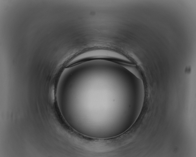 X0000089940020200707061109