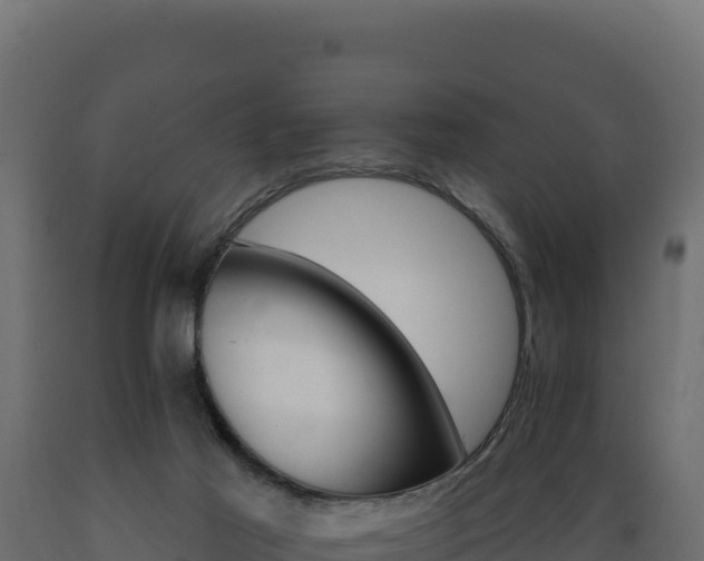 X0000089940021200707061109