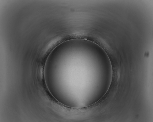 X0000089940022200707061109