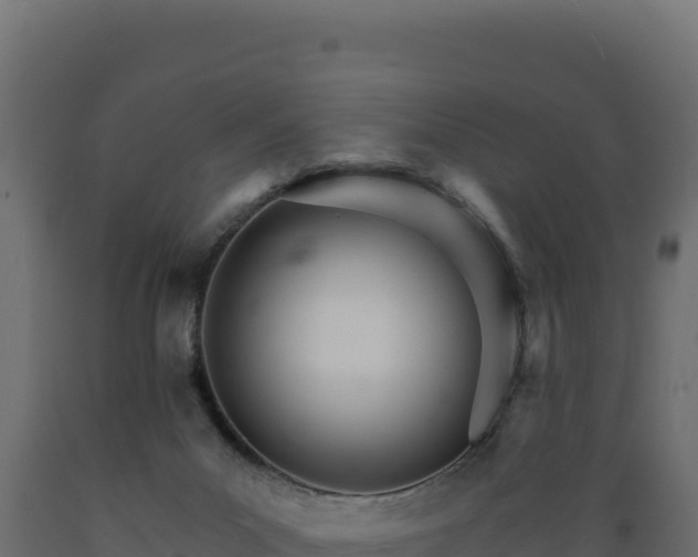 X0000089940023200707061109