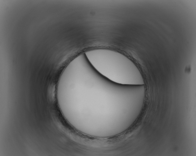 X0000089940024200707061109