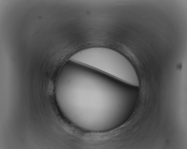 X0000089940025200707061109