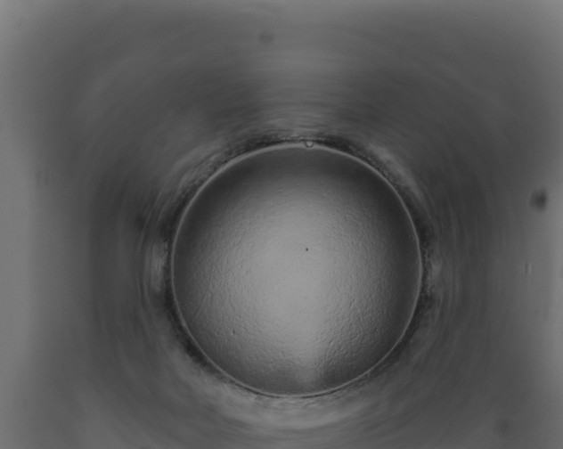 X0000089940026200707061109