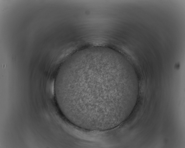 X0000089940028200707061109