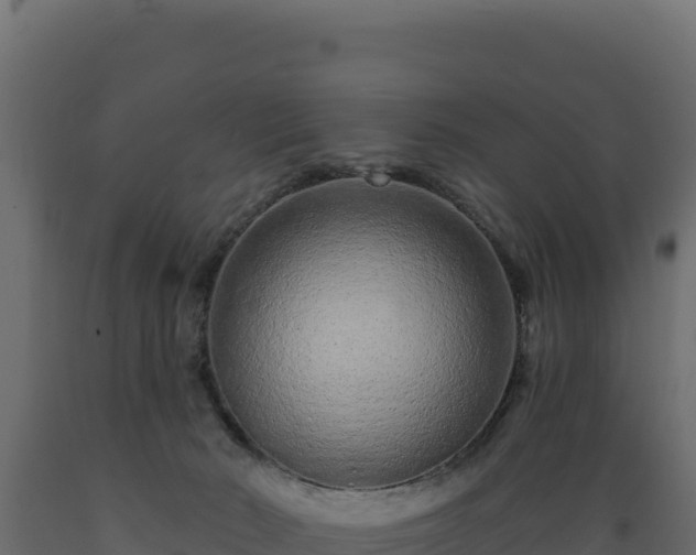 X0000089940030200707061109