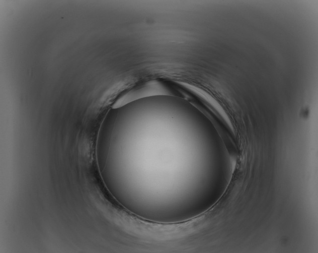 X0000089940031200707061109