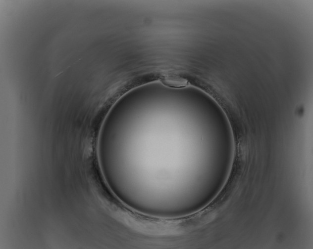 X0000089940032200707061109