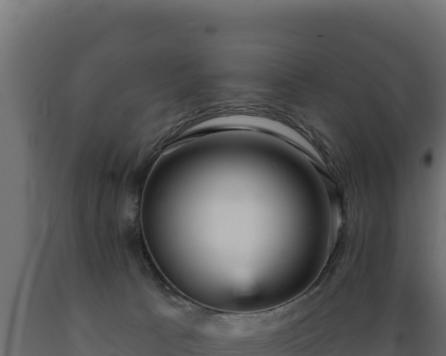 X0000089940033200707061109