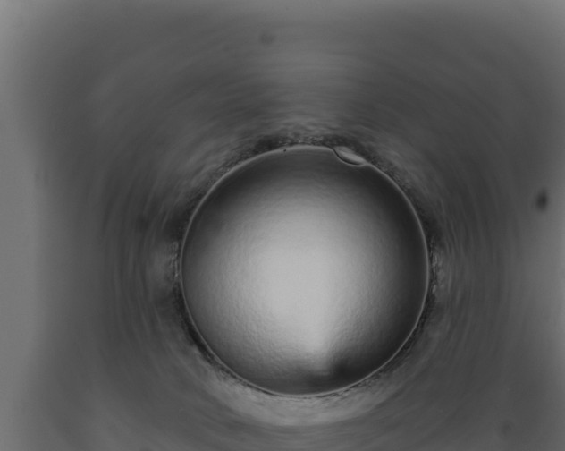 X0000089940034200707061109